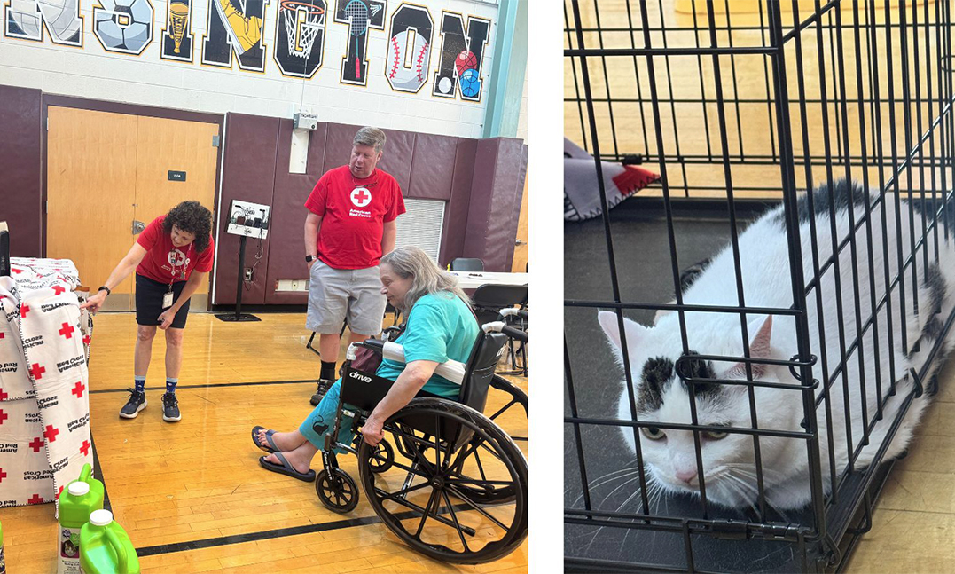 On the left side is a photo of two Red Cross volunteers look into a pet crate while talking with a woman in a wheelchair. On the right side is a photo of Nala, a white cay with black spots on her head and back, sits inside a pet crate. 