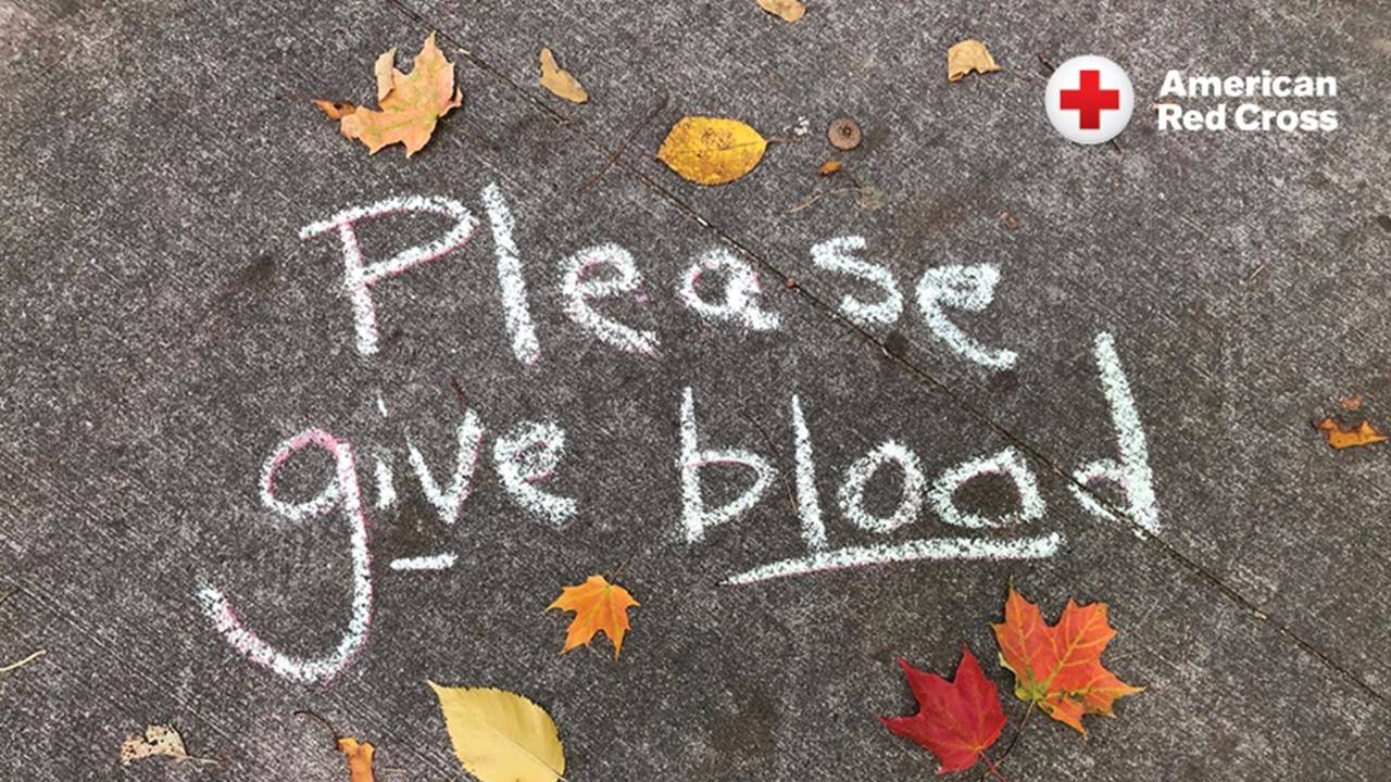 Graphic of the words Please Give Blood handwritten in white chalk on asphalt with orange and yellows leaves around the edges.