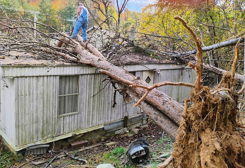 A large fallen tree on top of a house with a person with a chainsaw ready to cut it.
