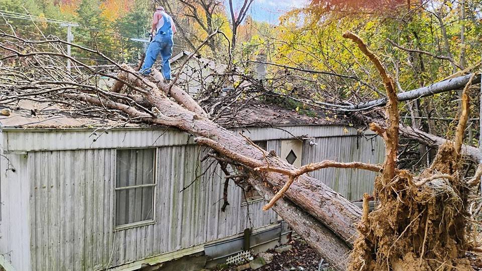 A large fallen tree on top of a house with a person with a chainsaw ready to cut it.