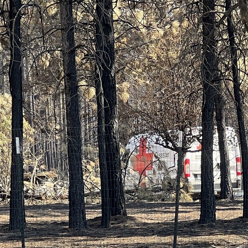 Red Cross Disaster Relief van in wooded area