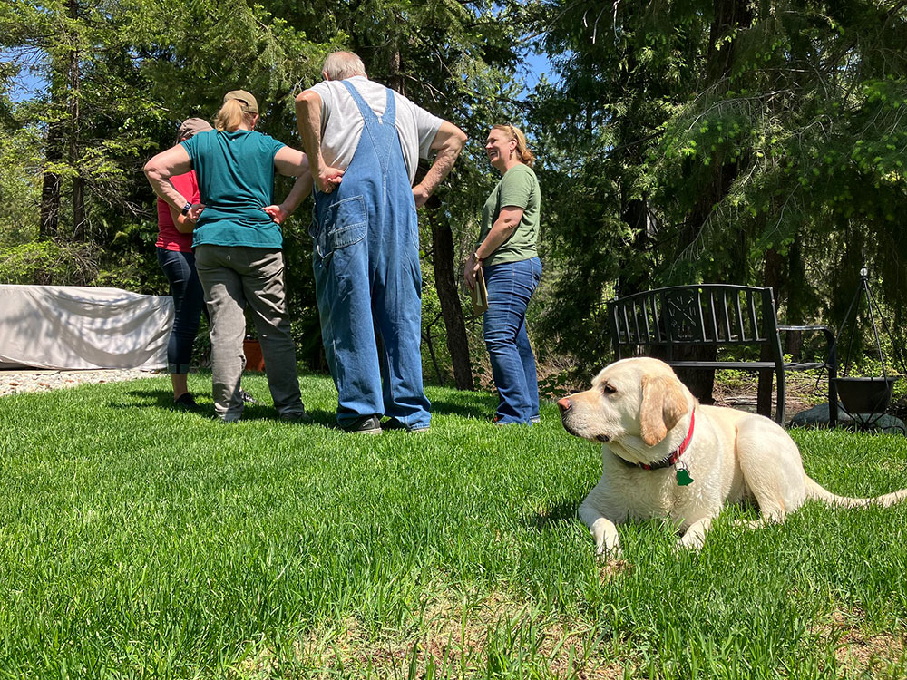 Four people speaking with each other on lawn with dog laying on grass next to them.