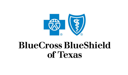 N-Texas-Community-partners - bcbs-texas-500x292