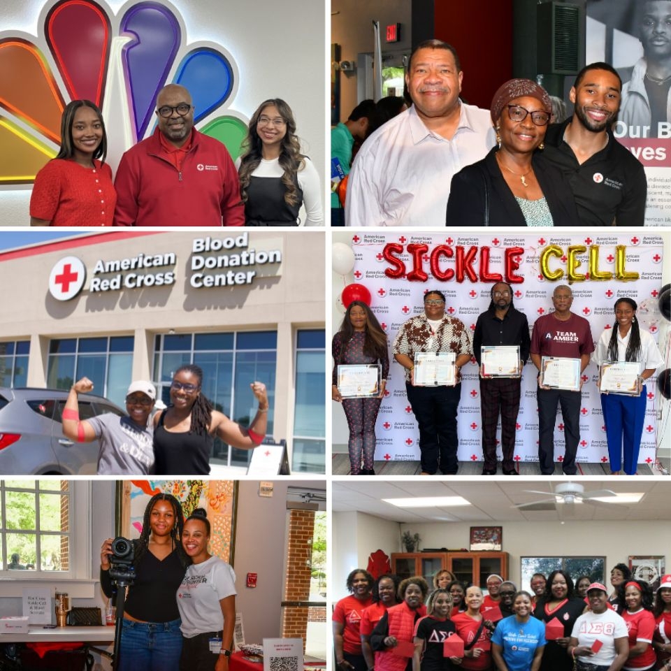 collage of black red crossers