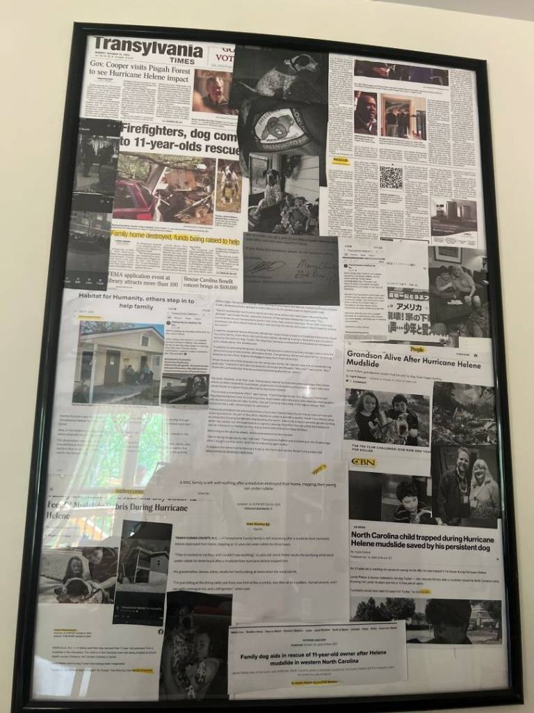 Framed collage of newspaper clippings