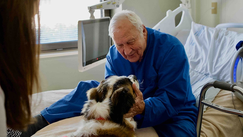 Therapy Dog Georgie with a patient.