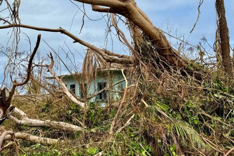 Branches and limbs cover home 