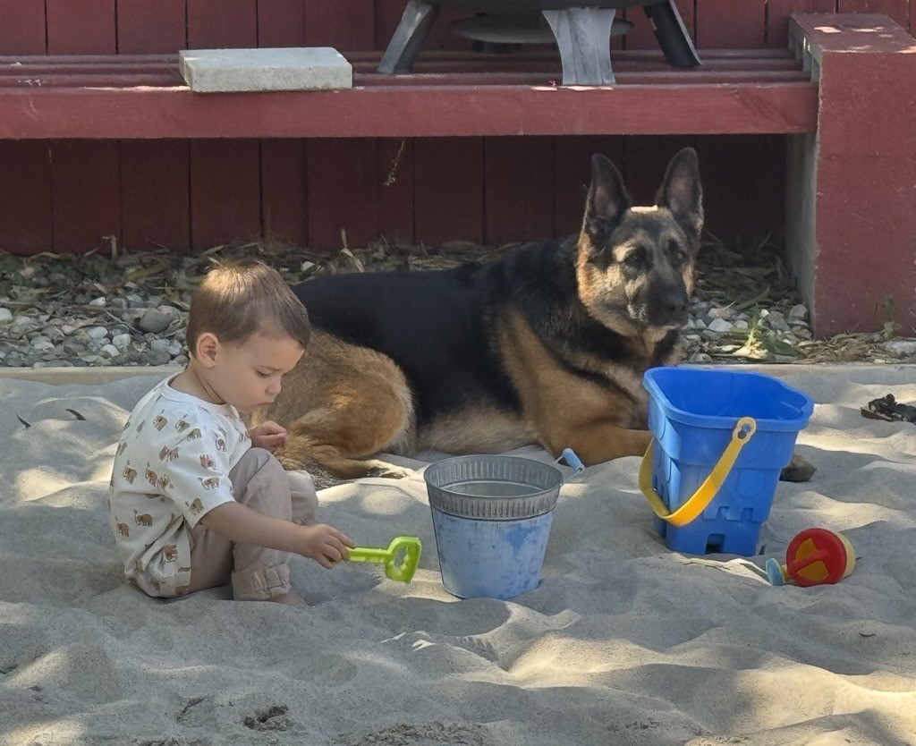 dog named amber and small child, isiah, playig in backyard.