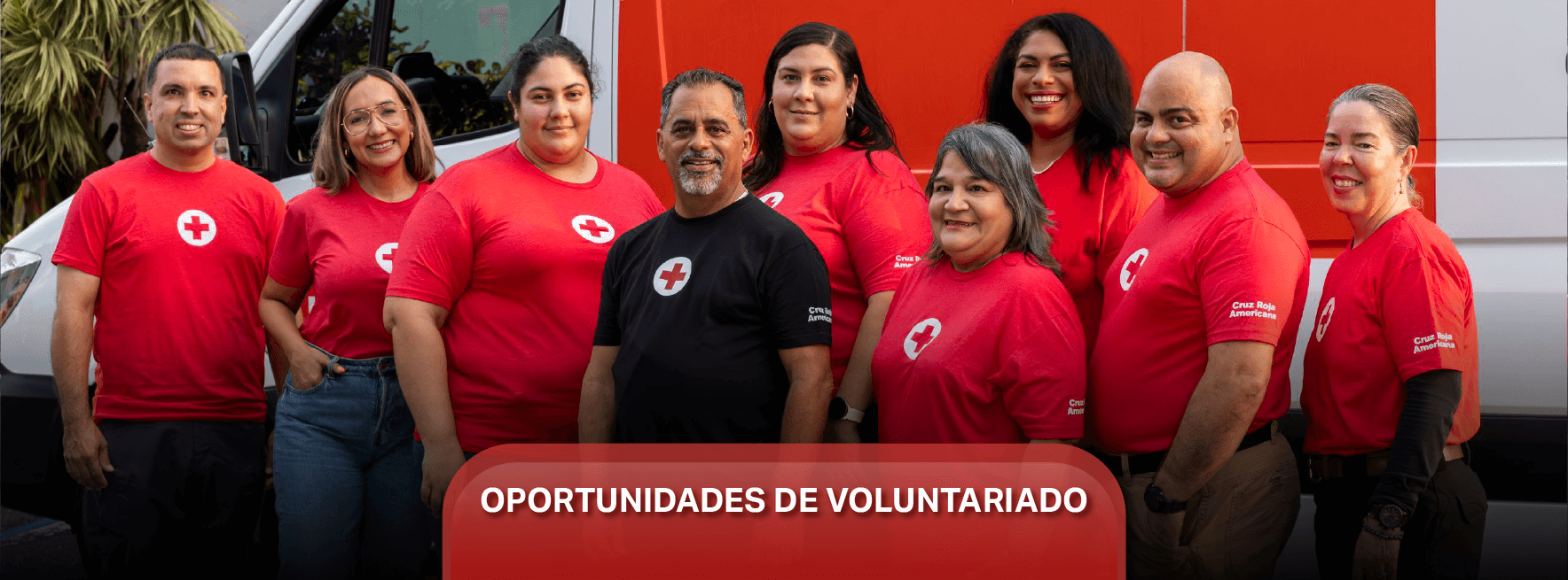 Oportunidades de voluntariado