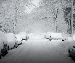 a road is totally covered in snow with cars buried under several inches of snow on either side