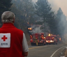 red cross volunteer in a red vest observes firetrucks dealing with wildfire 