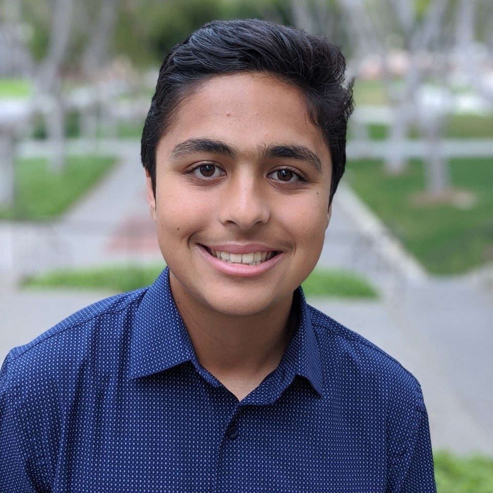 Headshot of Hamid