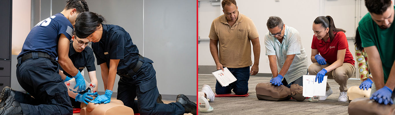 Side-by-side comparison of CPR training and Basic Life Support courses using CPR manikins during hands-on training.