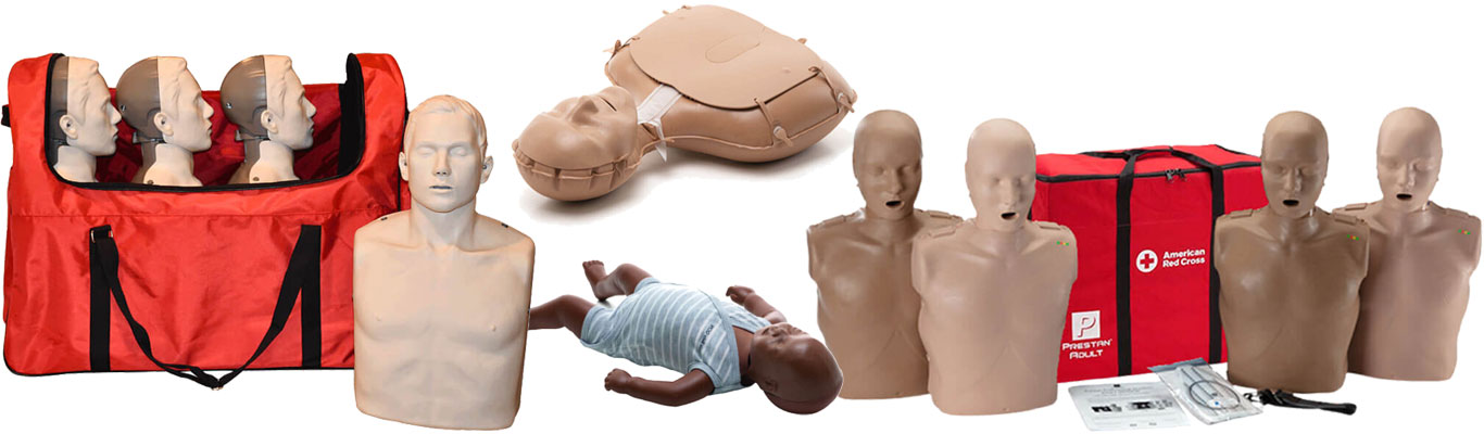 Brayden/Big Red, Prestan, and Laerdal CPR manikins in adult and infant sizes.