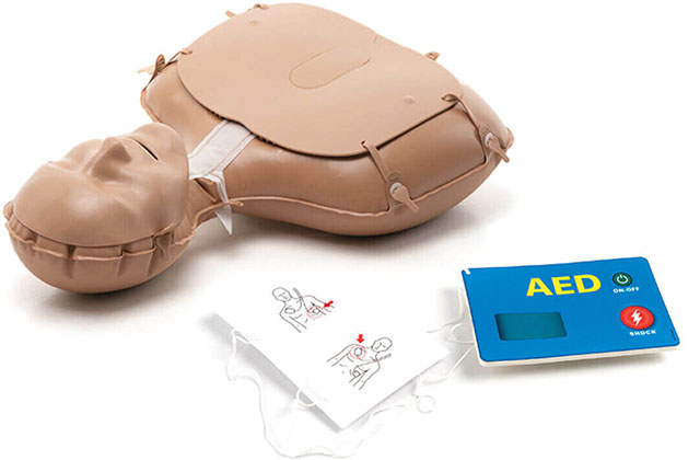Mini Anne Manikin with Simulated Cardboard AED Trainer.