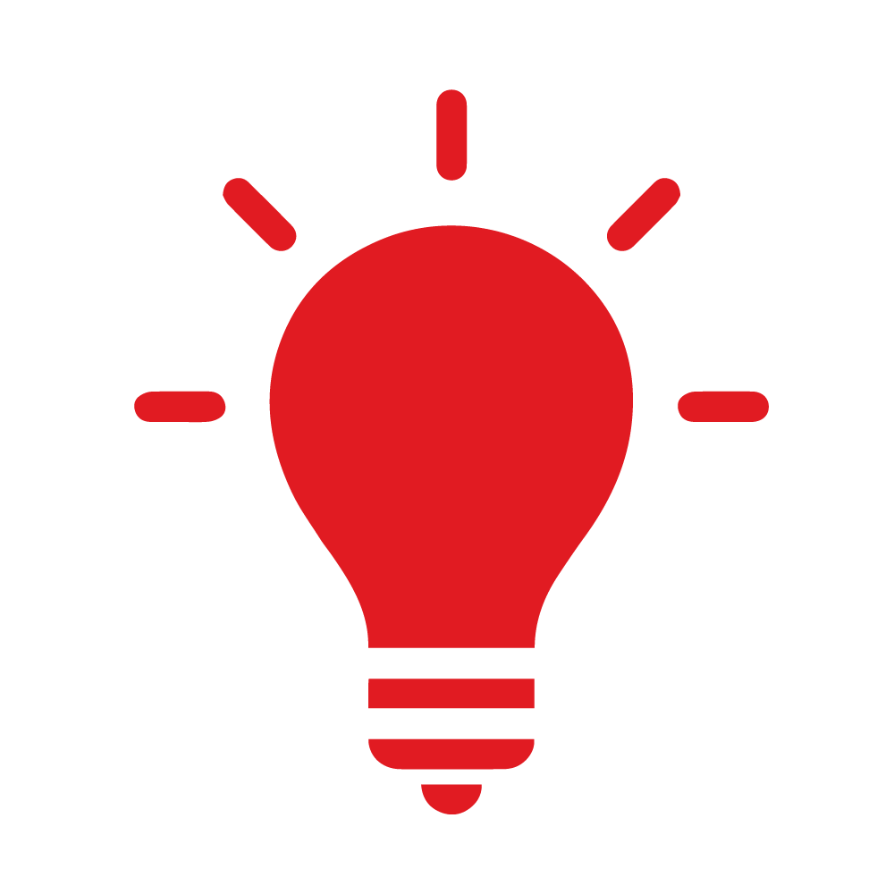 Lightbulb icon, representing innovative programs.