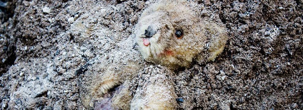 Fire damaged teddy bear