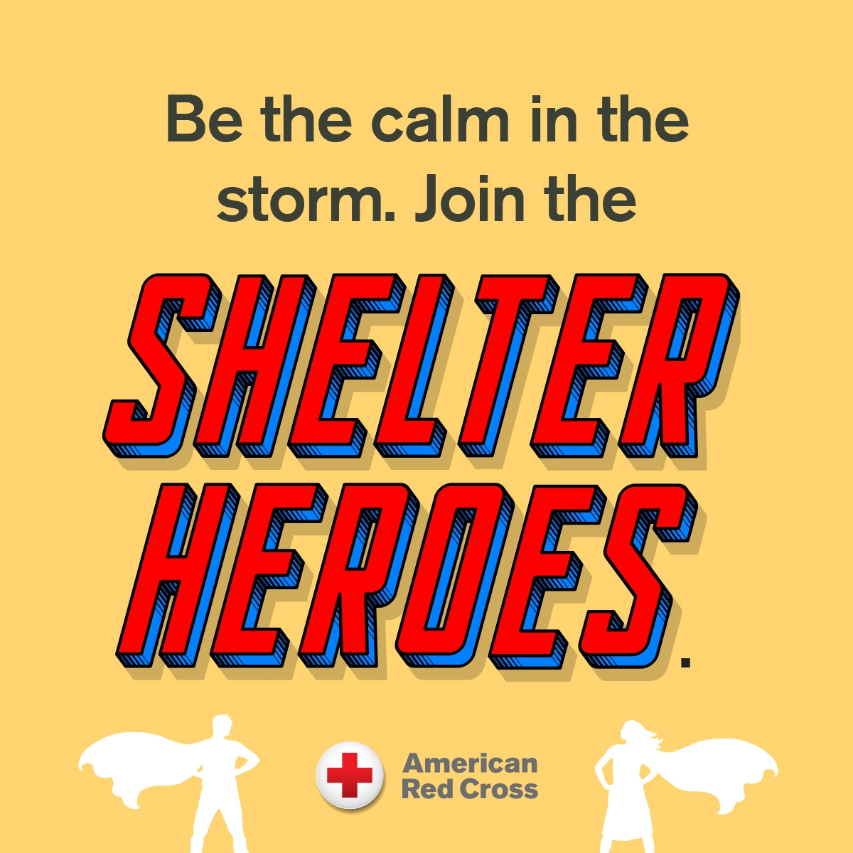 Tyler Disaster Action Team Training event banner.
