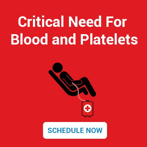 Schedule a Blood Donation