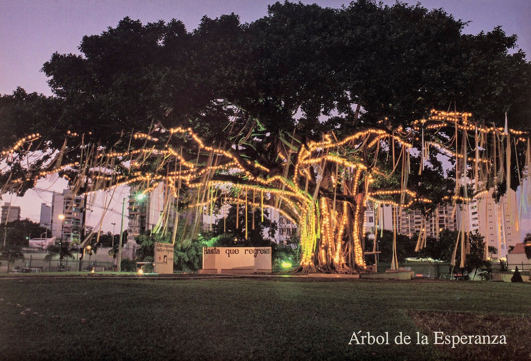 Fotografía de uno de los Árboles de la Esperanza durante la Guerra del Golfo Pérsico.