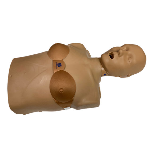 Prestan Female Manikin Accessory on a Prestan Adult CPR Manikin with Brown Skin.