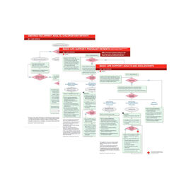 Bls Code Cart BLS, ALS, PALS, NALS Books & Materials | Red Cross Store