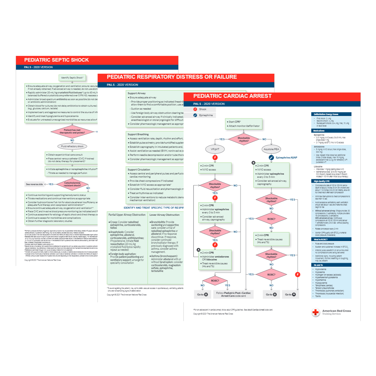 Pediatric Advanced Life Support Emergency Code Cards, Set/10