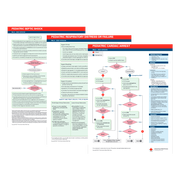 Pediatric Advanced Life Support (PALS) Emergency Code Cards, (Set of 10)