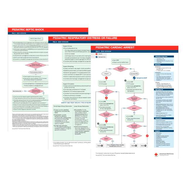 Pediatric Advanced Life Support (PALS) Emergency Code Cards, (Set of 10)