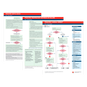 Pediatric Advanced Life Support (PALS) Emergency Code Cards, (Set of 10)
