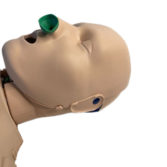 Prestan PRO+ Adult Manikin Head with a nasopharyngeal airway (NPA) inserted.