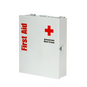 Workplace First Aid Kit and Medium Metal Cabinet, ANSI 2021