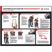 CPR & Conscious Choking First Aid Poster Set
