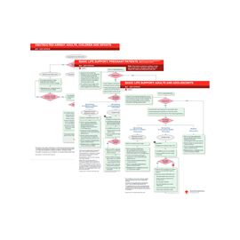 BLS Manuals & Other Materials | Red Cross Store