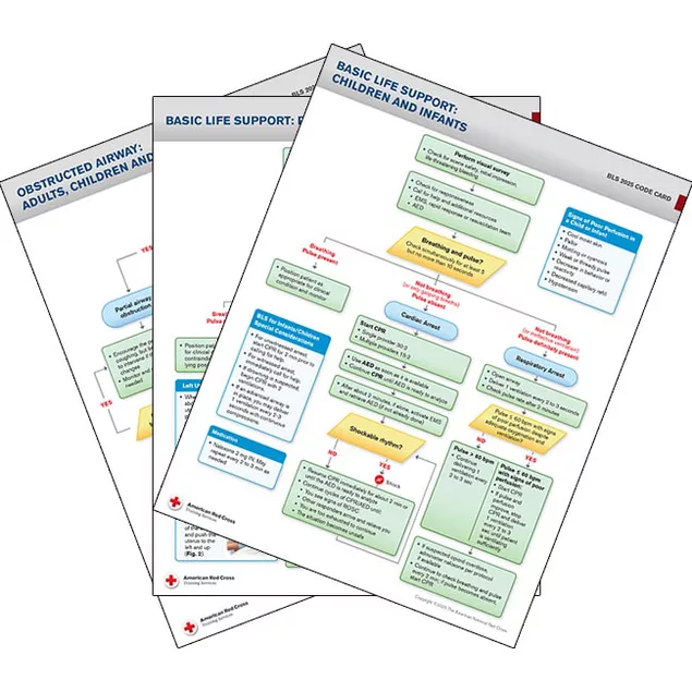 Bls Only Code Documentation Example Basic Life Support Code Card Set | Red Cross Store