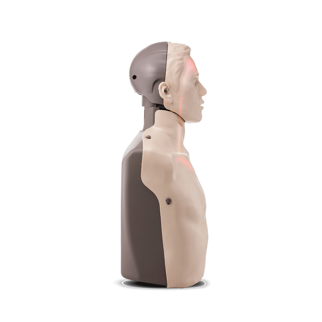 CPR Manikin with LED Light CPR Feedback Red Cross Store