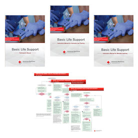 Basic Life Support Instructor's Kit (Set)