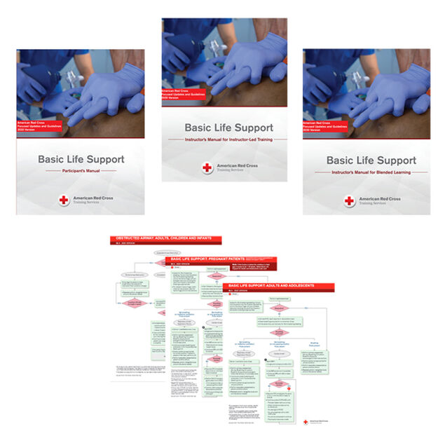 Basic Life Support Instructor's Kit (Set)