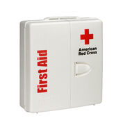 Workplace First Aid Kit and Large Plastic Cabinet, ANSI 2021.