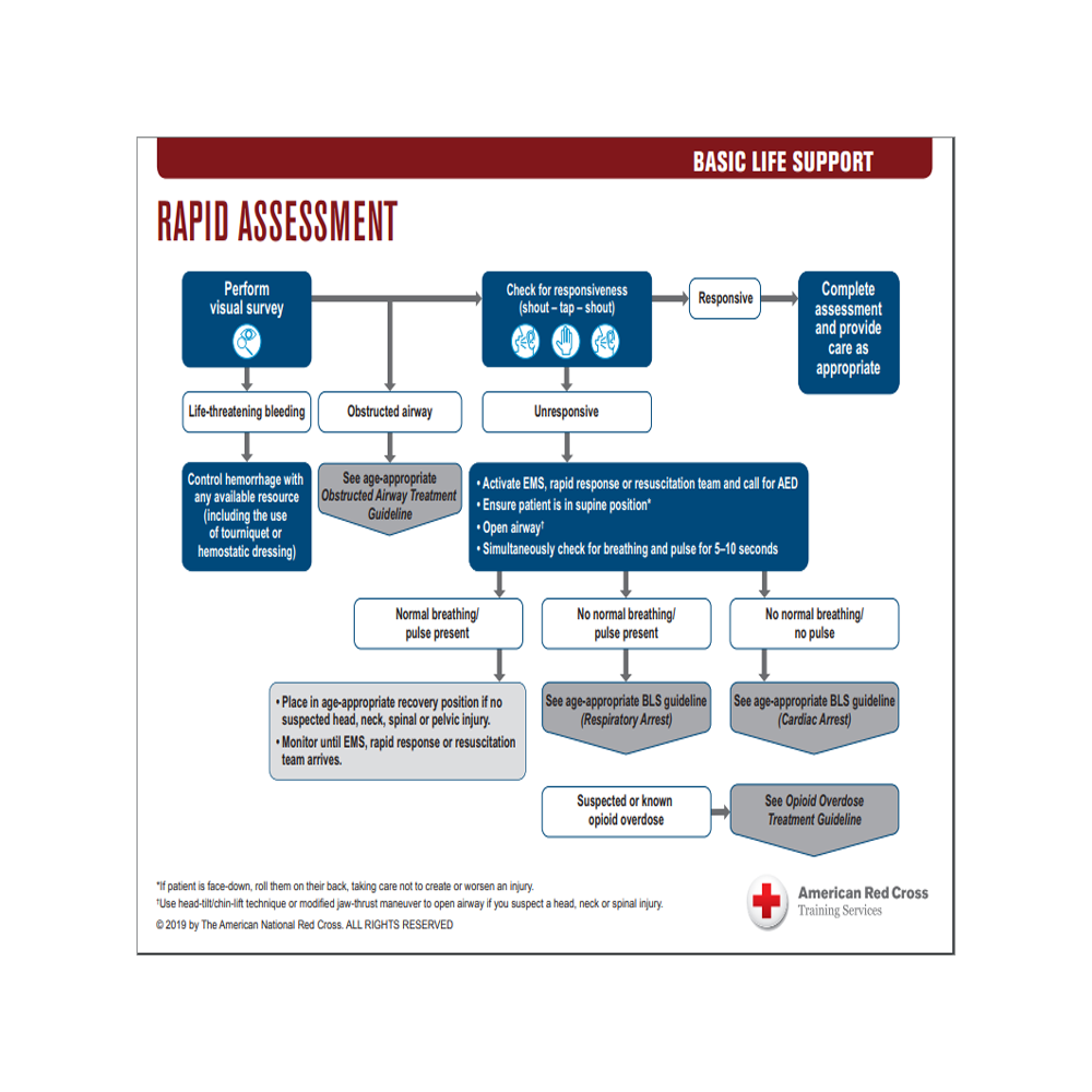 BLS Treatment Guidelines Red Cross Store