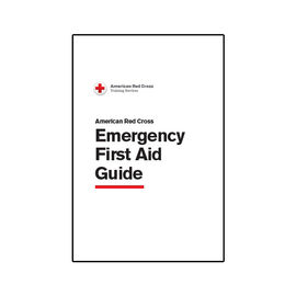 assignment on first aid