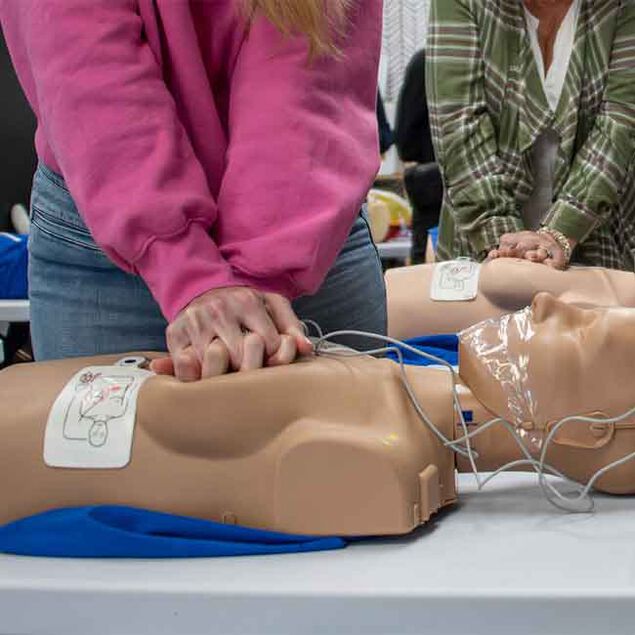 Prestan Adult Female CPR Feedback Manikin, Brown | Red Cross Store