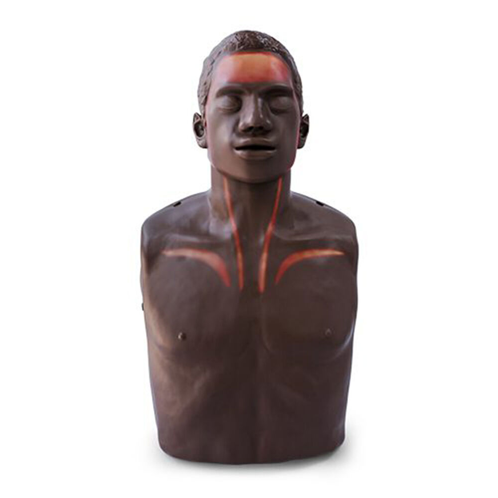 Brayden/BigRed OBI Adult CPR Feedback Manikin with LEDs, Brown Set ...