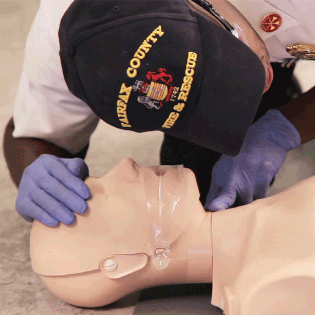 Display product reviews for Basic Life Support Review