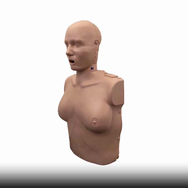 Prestan Professional Adult Female CPR Feedback Manikin with Brown Skin and Red Cross Carrying Case.