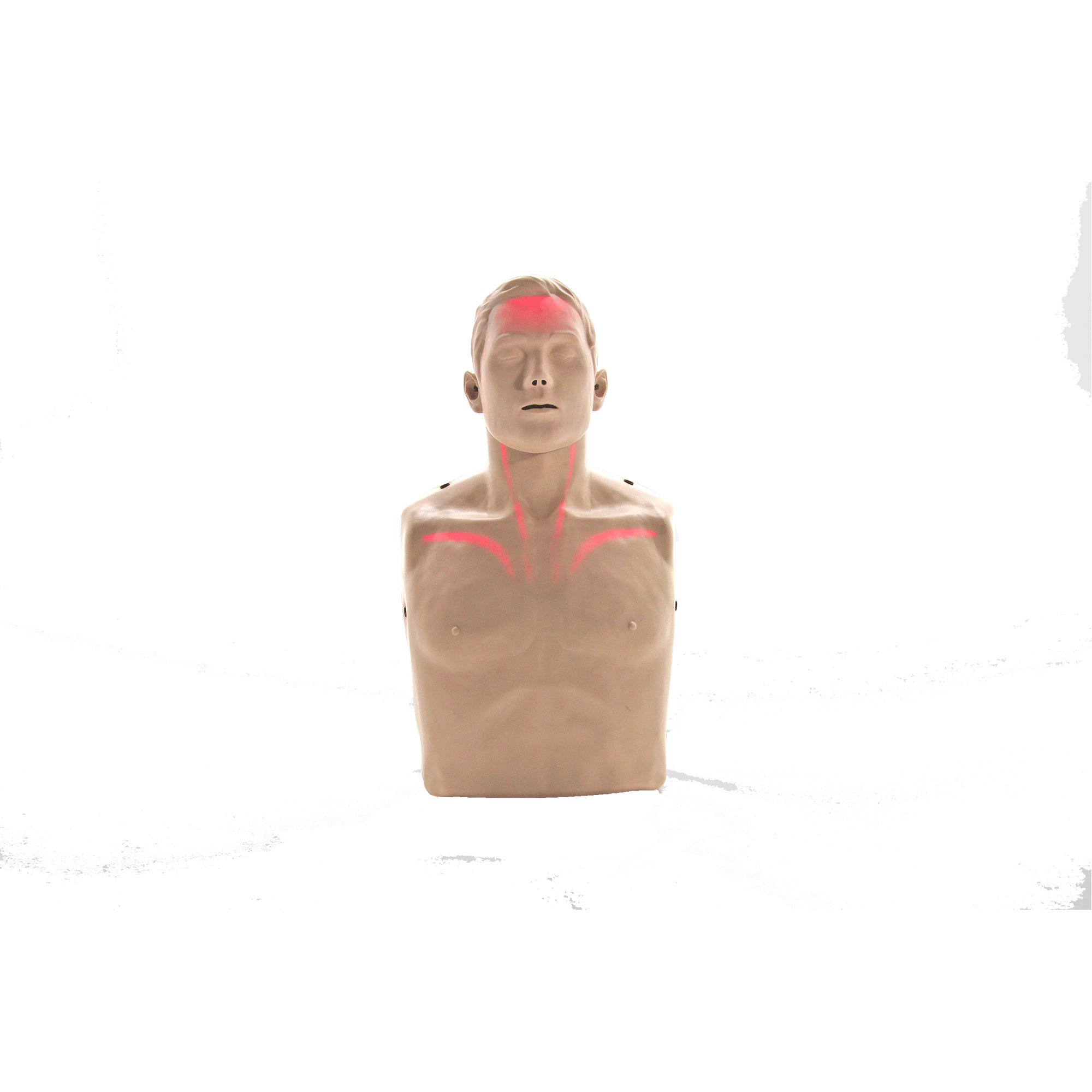 Brayden BigRed Adult CPR Manikin with LED Red Light CPR Feedback.