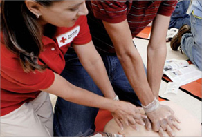 Adult First Aid/CPR/AED